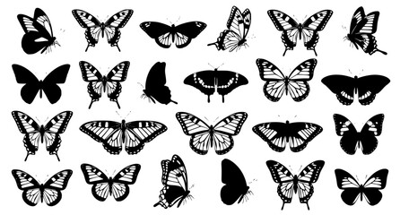Butterfly Silhouette Vector Illustration Set © BadhanChandra