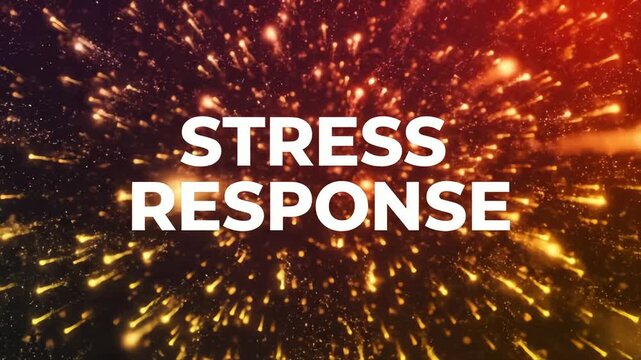 Understanding the Stress Response A Comprehensive Guide to Its Effects and Management