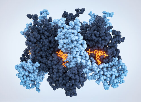 Lenacapavir drug molecules binding to HIV-1 capsid protein hexamer, mechanism of action. 3D render
