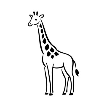 Logotipo con dibujo minimalista con l&iacute;neas de una jirafa vista de perfil