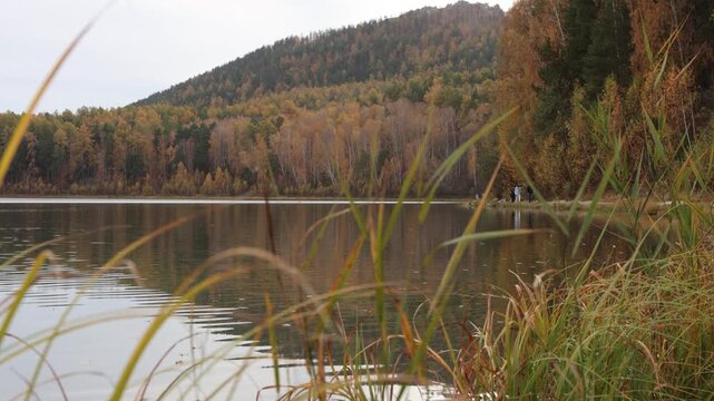 Mountain lake and forest in autumn. A clear tectonic lake at the foot of a rock massif covered with mixed forest.