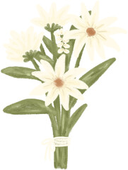 Obraz premium bouquet of tuberose