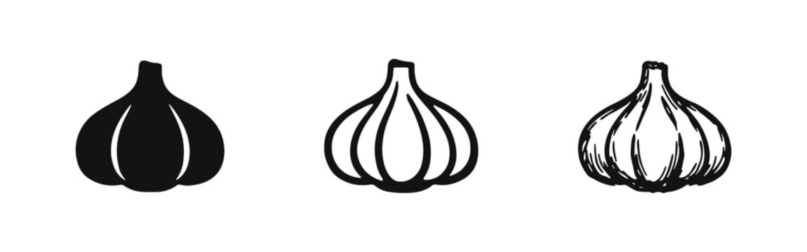 Garlic bulb icons set: solid silhouette, thin line, and hand-drawn sketch styles. Cooking ingredient vector art.
