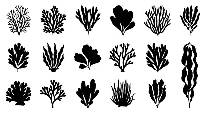 Black seaweed silhouettes set, 18 underwater coral and algae vector icons, marine plant life collection for aquatic design and ocean branding