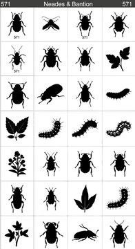 Vintage insect silhouettes collection, antique beetle and caterpillar vector set, black bug and leaf botanical illustrations for scientific study