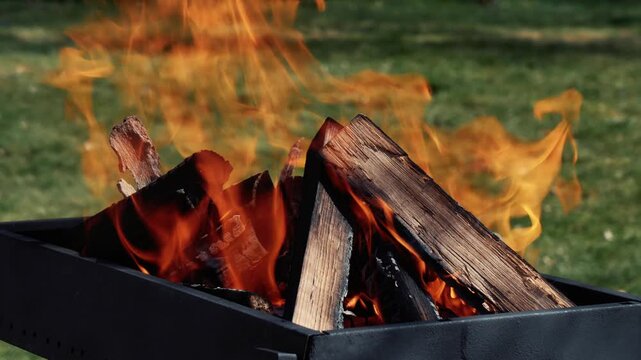 Birch logs burning in a grill on spring holiday, green grass, festive season