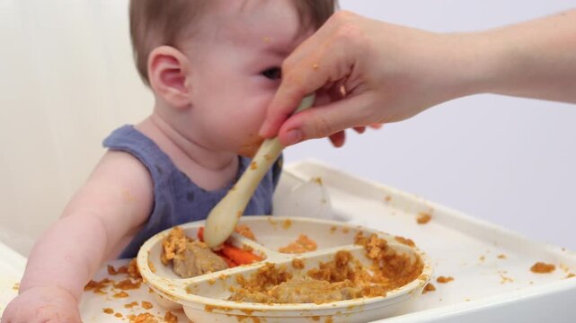 White background. A little girl in a high chair, picking and eating food from a sectioned plate with her fingers. The concept of weaning is based on the principle of "child-choosing food," independent