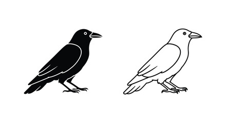 Fototapeta premium BlackAndWhiteCrowIllustrationComparison Vector