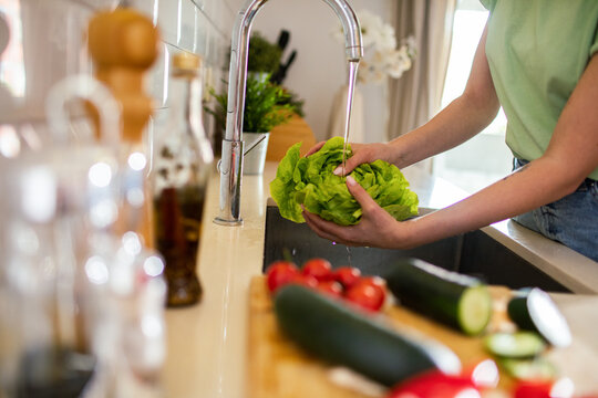 Person washing fresh lettuce at kitchen sink