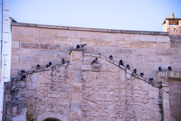 The baroque facade of the Chiesa di Santa Maria di Costantinopoli in Lecce, featuring refined stone carvings, statues set in niches, and elegant architectural details  © lucazzitto