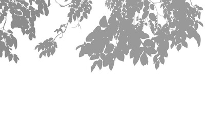 Fototapeta premium Grey silhouette of tree leaves and branches hanging from the top on an isolated background. Soft, minimalist nature frame for elegant graphic design and creative overlays.