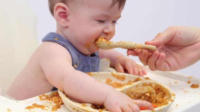 White background. A little girl in a high chair, picking and eating food from a sectioned plate with her fingers. The concept of weaning is based on the principle of "child-choosing food," independent