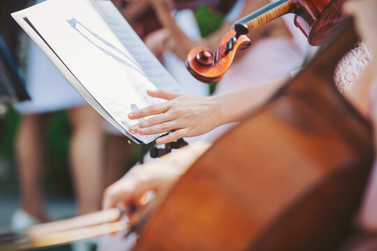 In a lush garden, musicians bring life to the air with their string instruments. Joyful notes fill the atmosphere as sunlight dances on the performers and their music sheets