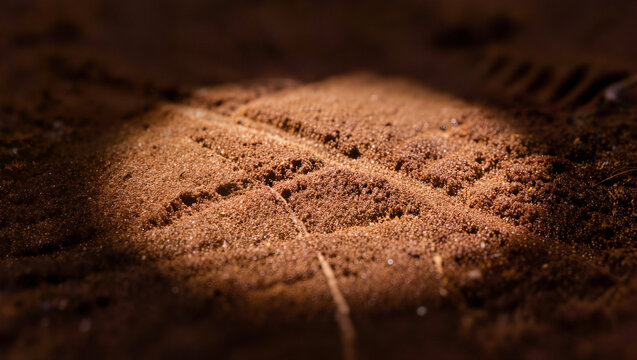 Macro Shot of Tire Tread Impression in Dark Soil