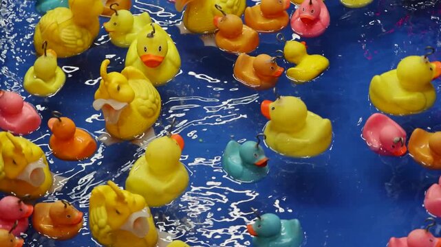 Fishing Yellow Rubber Ducks in Pool of Water Amusement Park Game