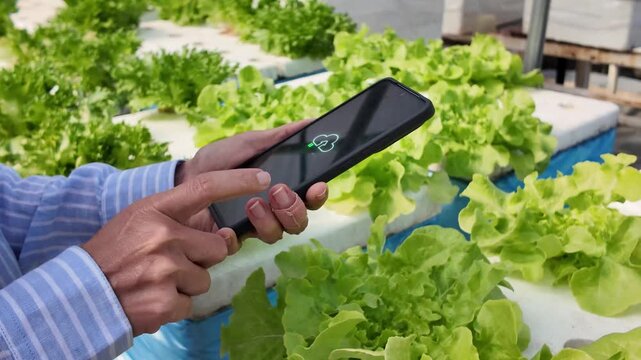 AI Agriculture Sustainable Farming Innovation Management. High Tech Mobile Application for Automated Irrigation and Pest Control
