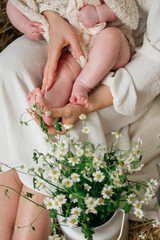 Fototapeta premium Close-up of a mother's hands gently touching her baby's feet next to fresh chamomile flowers in a metal milk can. Warm, cozy atmosphere on a straw background, wearing white linen clothes.