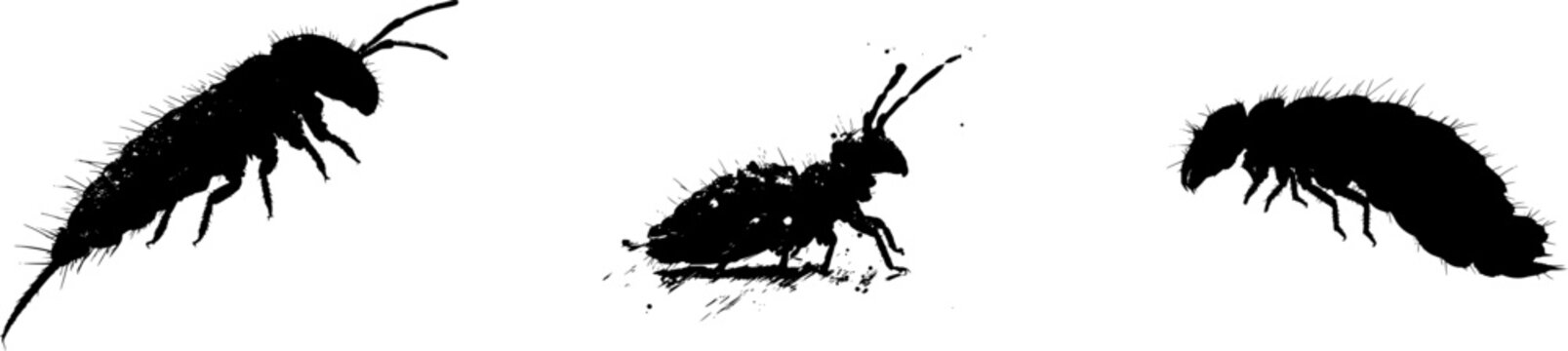A detailed springtail jump pose profile in stark black silhouette, isolated on a pure white background with crisp high contrast edges, minimalist stencil design, perfect for auto tracing 7
