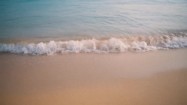 穏やかな波が打ち寄せる白砂のビーチ - 熱帯の癒しと自然のループ動画