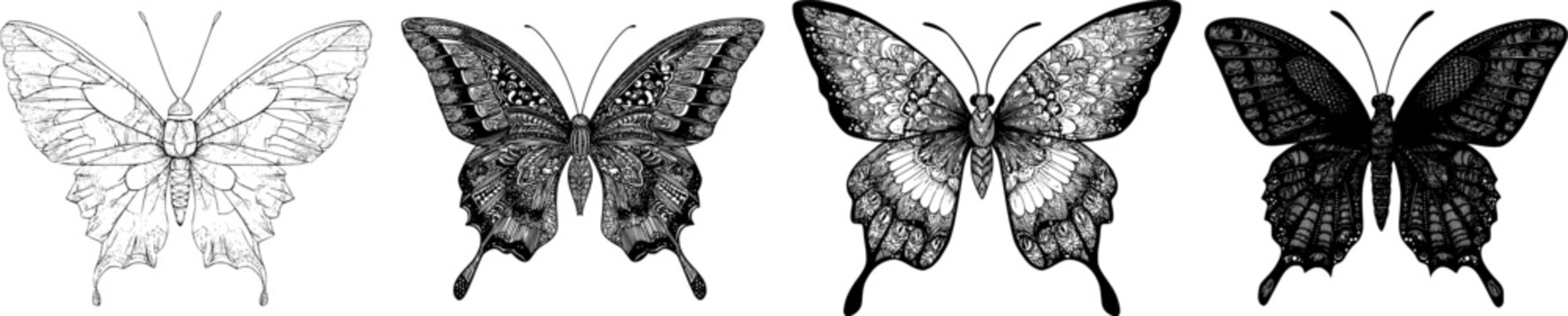 A detailed Zentangle-style butterfly with intricate patterns, sharp black ink outline, solid white background, monochrome coloring book style, clear boundaries, flat 2D graphic design