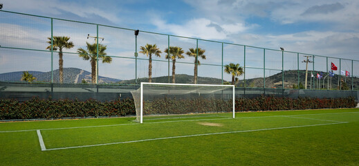 Fototapeta premium A training field surrounded by palm trees and hedges. Real grass, side view of an empty soccer goal.