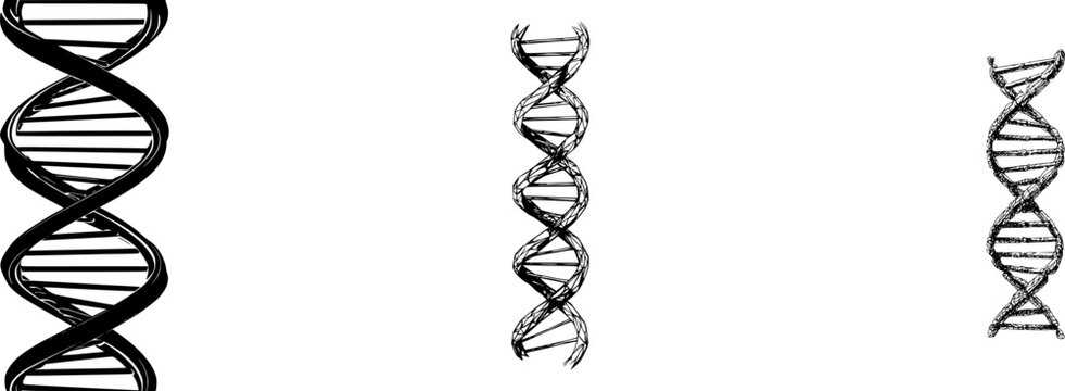 A striking double helix DNA strand stands vertical against a pure white background, outlined in bold black ink with high contrast monochrome style for clear vector tracing