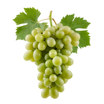 Fresh Green Grapes Bunch with Leaves Isolated