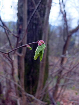 Historischer Kreuzweg in Ebermannstadt