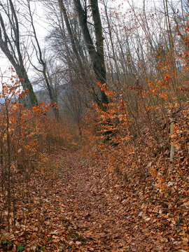 Historischer Kreuzweg in Ebermannstadt
