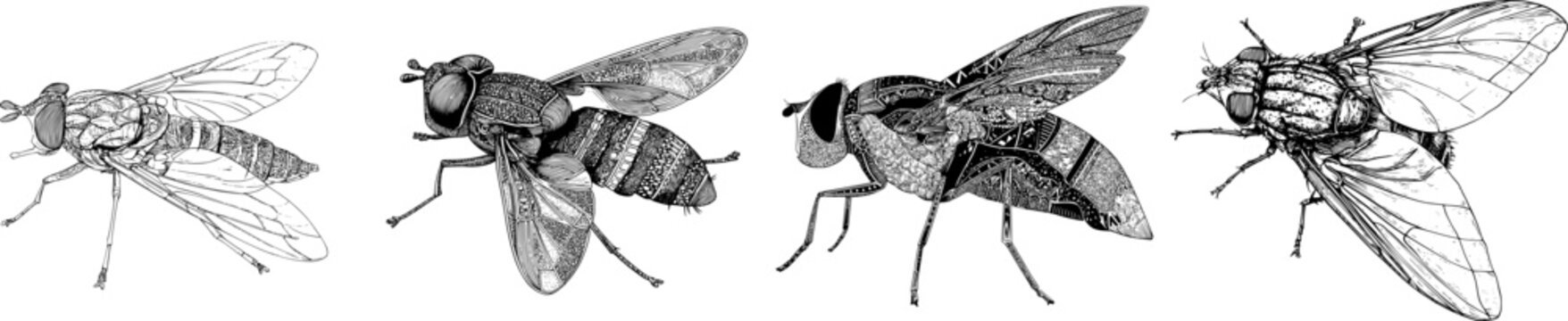 A delicate horsefly rests gracefully on a pristine white surface, its intricate details captured in a monochrome, high-resolution illustration that emphasizes the elegant profile of this insect