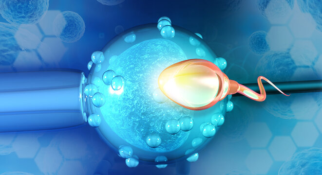 Microscopic 3D illustration of in-vitro fertilization showing a sperm cell penetrating an egg cell.