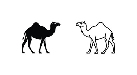 Fototapeta premium Camel Types Dromedary vs Bactrian Comparison Guide Vector