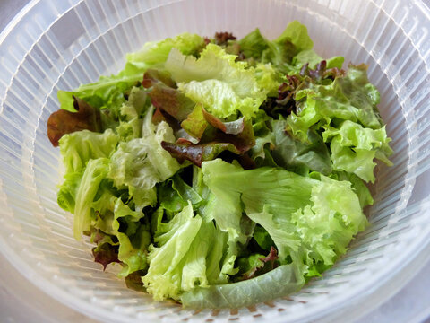 Salat