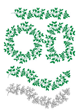 Leaf infinity illustrator vector brush in shades of green and black & white. In a circle and a rectangle. Illustrator bursh.