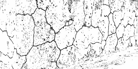 Fototapeta premium White Cracked Wall Background with Fine Fracture Lines and Minimal Distressed Texture.