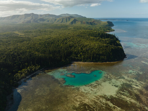Aerial view of the vibrant turquoise waters meeting the dark green forest against the backdrop of mountainous terrain, Goro, South Province, New Caledonia.