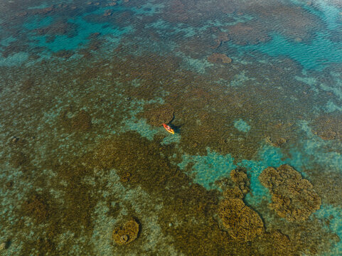 Aerial view of a solitary kayak glides across the vibrant turquoise waters, revealing the intricate coral reefs beneath, Goro, South Province, New Caledonia.