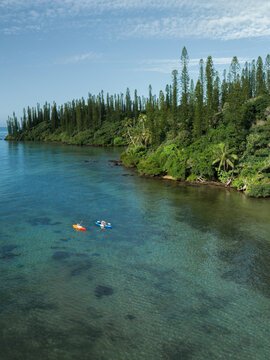 Aerial view of the turquoise water meeting the lush green coastline, adorned with tall pine trees, creates a striking contrast against the clear blue sky, Goro, South Province, New Caledonia.
