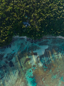Aerial view of the vibrant turquoise sea meeting the verdant forest edge, dappled sunlight dancing on the coral reefs below, Goro, South Province, New Caledonia.
