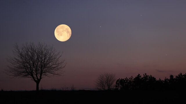Full Moon, stars and planets above landscape silhouettes.