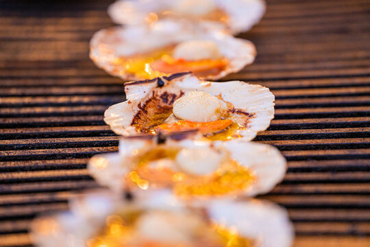 View of grilled scallops in their shells, glistening with vibrant orange and white hues, resting on dark, parallel grill bars, Pula, Istria County, Croatia.