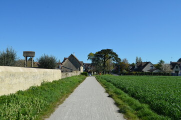 Colleville-Montgomery (Calvados - Normandie - France) © david-bgn