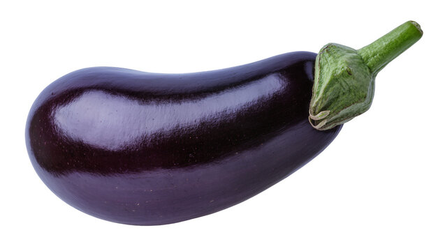 Large glossy purple eggplant with green stem and blossom