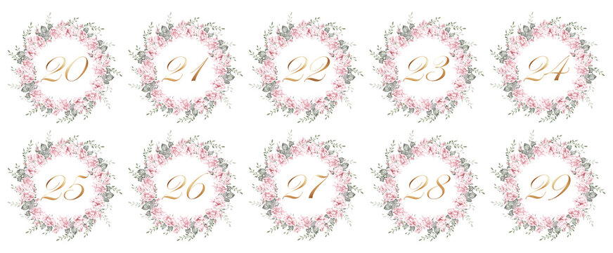 Elegant watercolor floral wreath numbers set from 20 to 29 with soft pink flowers and green leaves. Golden calligraphy digits inside round frames, perfect for wedding design, invitations, branding and