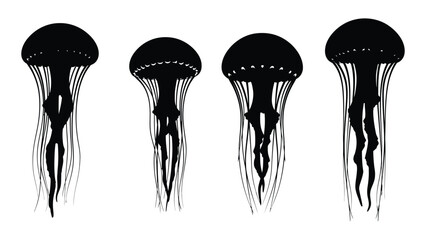 Four silhouetted jellyfish illustrations against a white background showcasing varying shapes © Payara