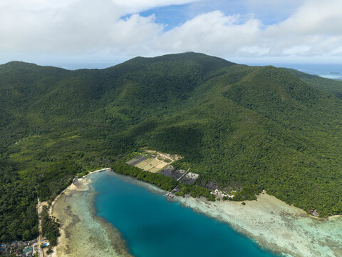Aerial view of the coastline where the turquoise sea meets the lush green forest, a vibrant contrast of colors and textures, Karimunjawa, Central Java, Indonesia.