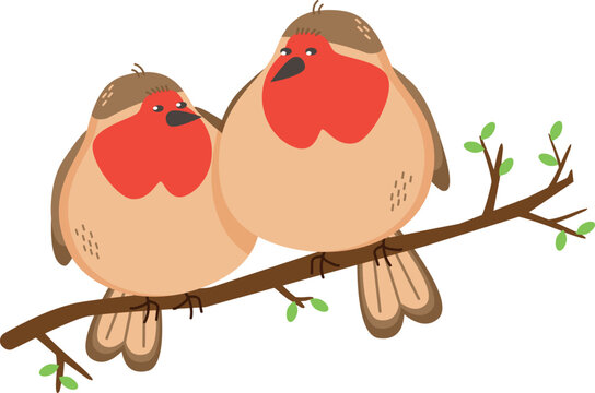 Two cute round robins sitting on a spring branch with green buds, cartoon bird characters isolated on white, summer and spring seasonal greeting card element, vector illustration