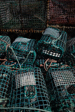 Fish traps