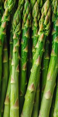 Obraz premium Freshly Harvested Green Asparagus Stalks with Dew Drops, Crisp Texture and Vibrant Color Display