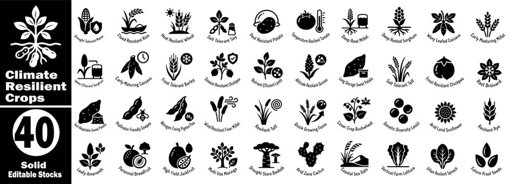 Climate resilient crops solid icons, drought and flood tolerant plants.